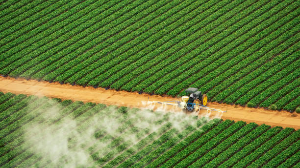 Best Pest Prevention Services  in Piperton, TN