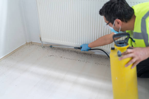 Best Pest Prevention Services  in Piperton, TN