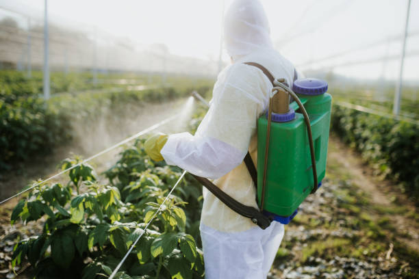 Piperton, TN Pest Control Company